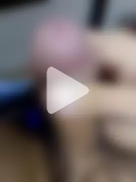 Hugopingonasa2024 photo 14