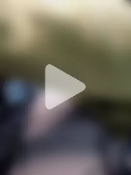 Hugopingonasa2024 photo 6