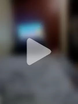 Hugopingonasa2024 photo 4