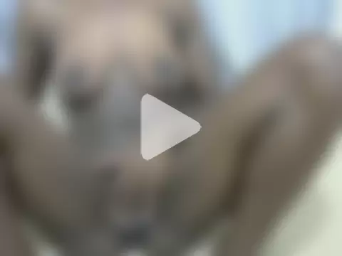 Humbulani1015 photo 8