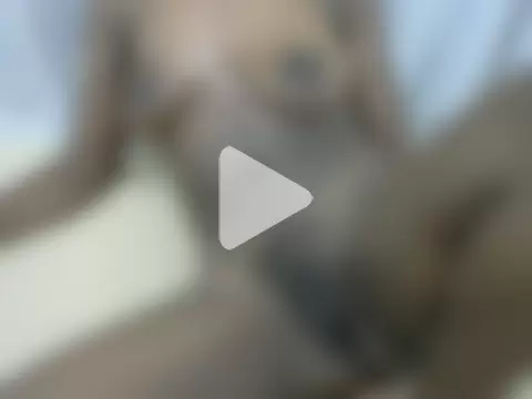 Humbulani1015 photo 1