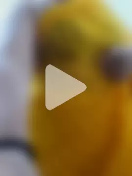 Iampriyaaa15 photo 26