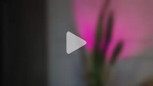 Ice_Princess_ photo 22