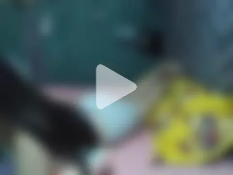 IloiloSunrise_Palangga photo 4