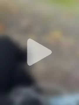 ImSexgoodlike photo 5