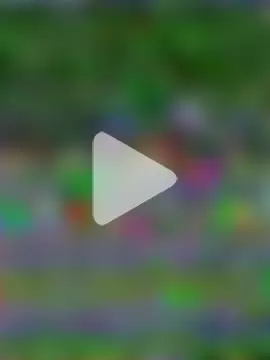 Immerhartundgeil photo 2