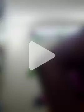 Indian-Glory photo 26