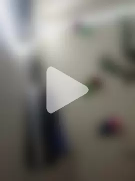 Indian-Glory photo 24