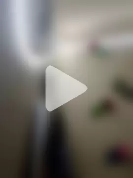 Indian-Glory photo 23