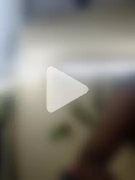 Indian-Glory photo 21