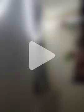 Indian-Glory photo 15