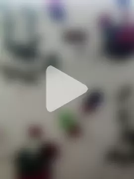 Indian-Glory photo 13