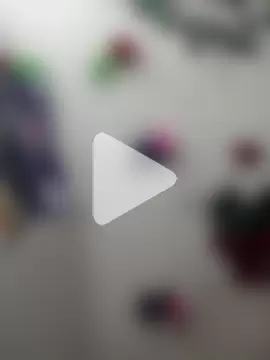 Indian-Glory photo 12