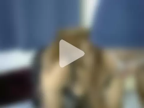 Indiana_cool photo 30