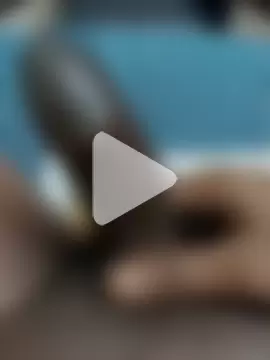 Indianshine photo 16