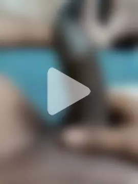 Indianshine photo 12