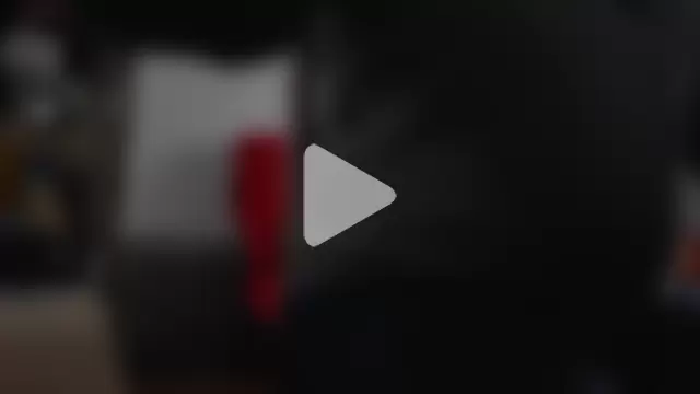 IndienTiger photo 14