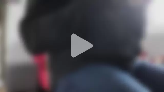 IndienTiger photo 17