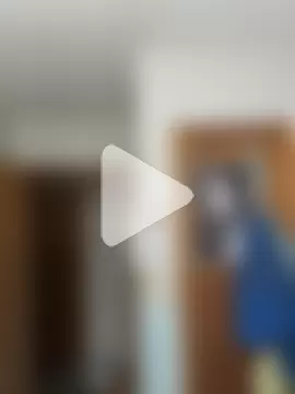 Integrityofsin photo 18