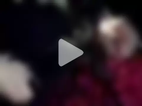 Iridescenze photo 23