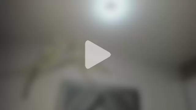 Isa_Rouse__ photo 11