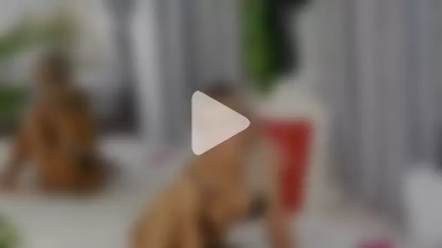 IsabelleEthan photo 14