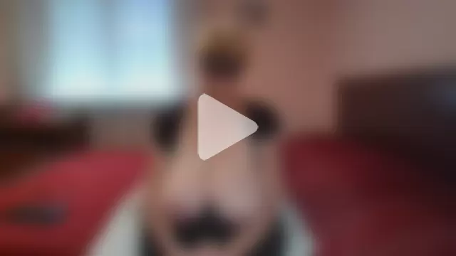 ItalianBigBoobs photo 29