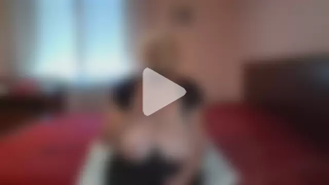 ItalianBigBoobs photo 28