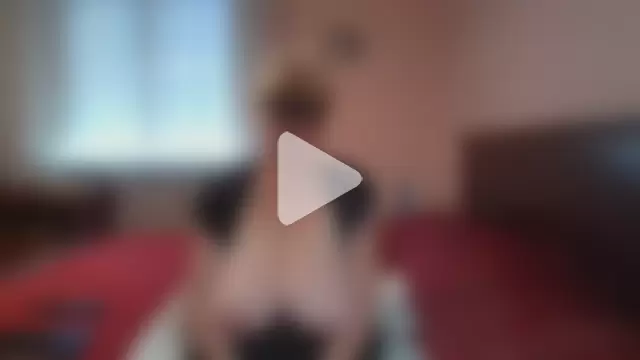 ItalianBigBoobs photo 18