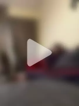 ItalianiMuli photo 1