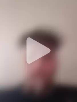 Italianobull02 photo 2