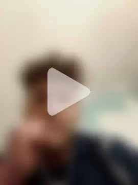 Italianobull02 photo 1