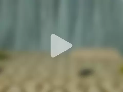 Its-ishikaa photo 25