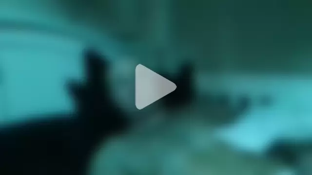 JAYSICKNESS photo 12