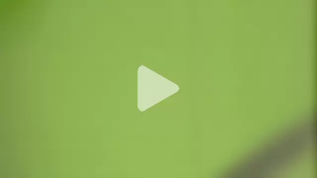 JESSYCORTES photo 13