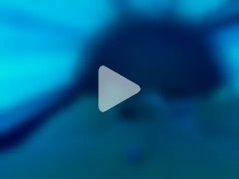 JRock69nKzoo photo 20