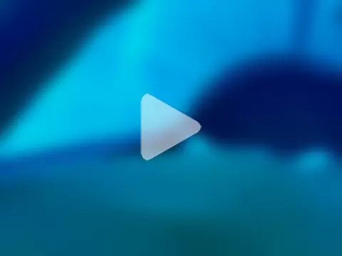 JRock69nKzoo photo 13