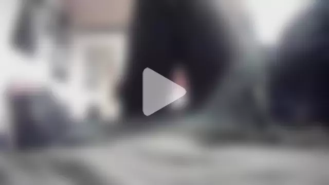 JRock69nKzoo photo 12