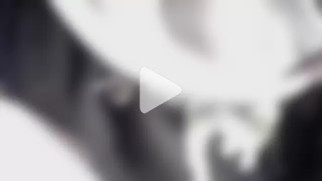 JRock69nKzoo photo 4