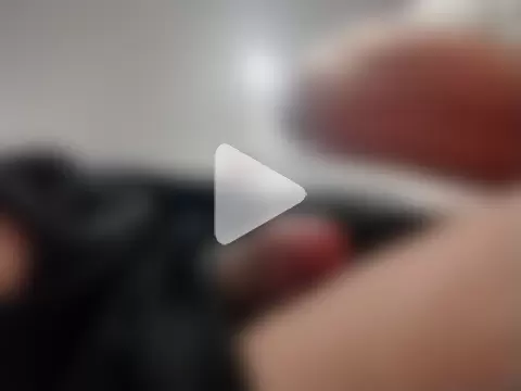 JRock69nKzoo photo 2