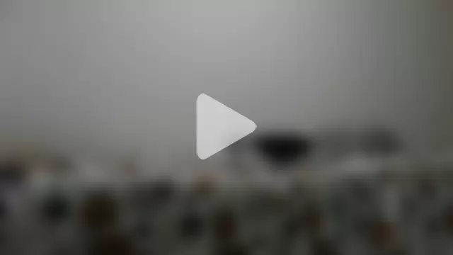 JUNINHOLEKEJR photo 5