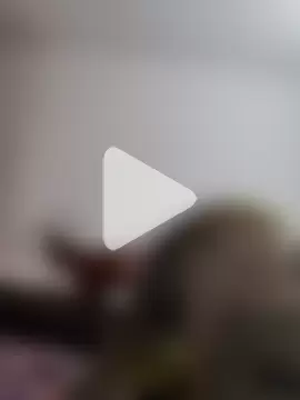 Jaanuteluguammaii photo 3