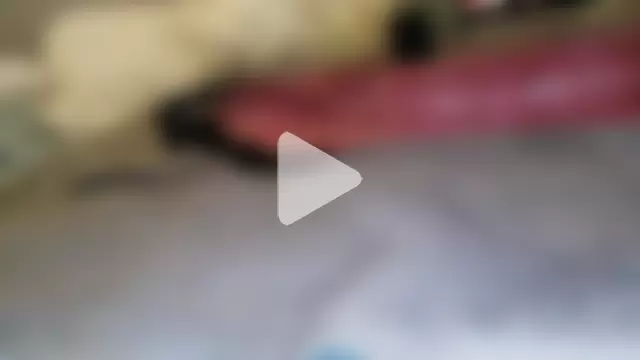 Jacknjimmyjohn photo 8