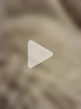 Jackoff2345 photo 13