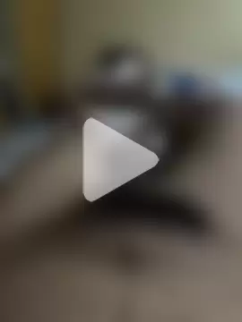 Jaipurbull69 photo 13