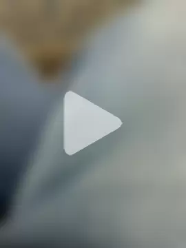 Jaipurbull69 photo 7