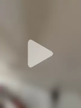 Jaipurbull69 photo 4