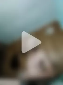 JajajaJavier2389 photo 2