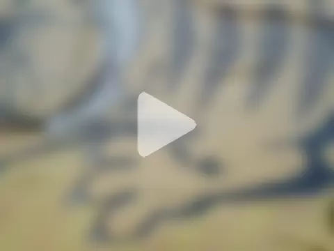 JamesQuaresma photo 29