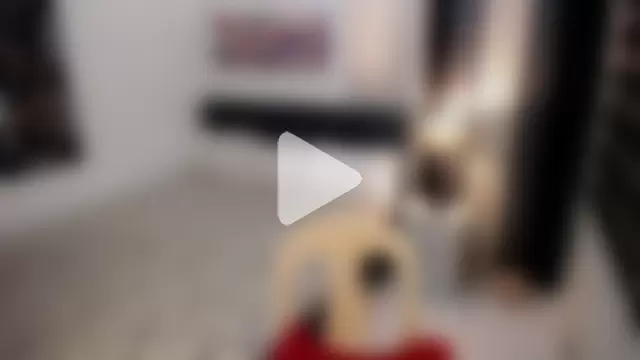 JasminForBedTime01 photo 9